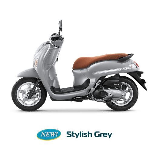 Honda Scoopy - Stylish Grey